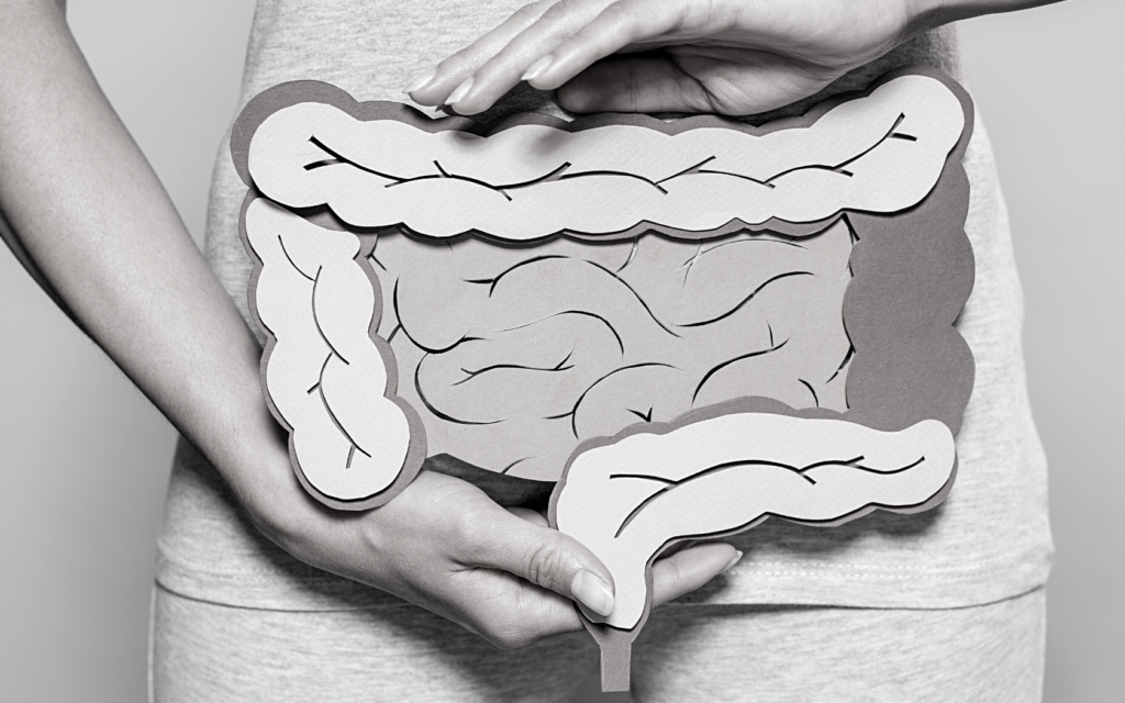 A drawn image of the colon.