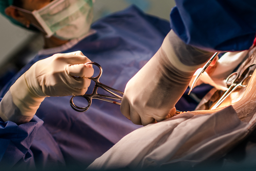 Surgeons using a scalpel in a medical procedure on patient.