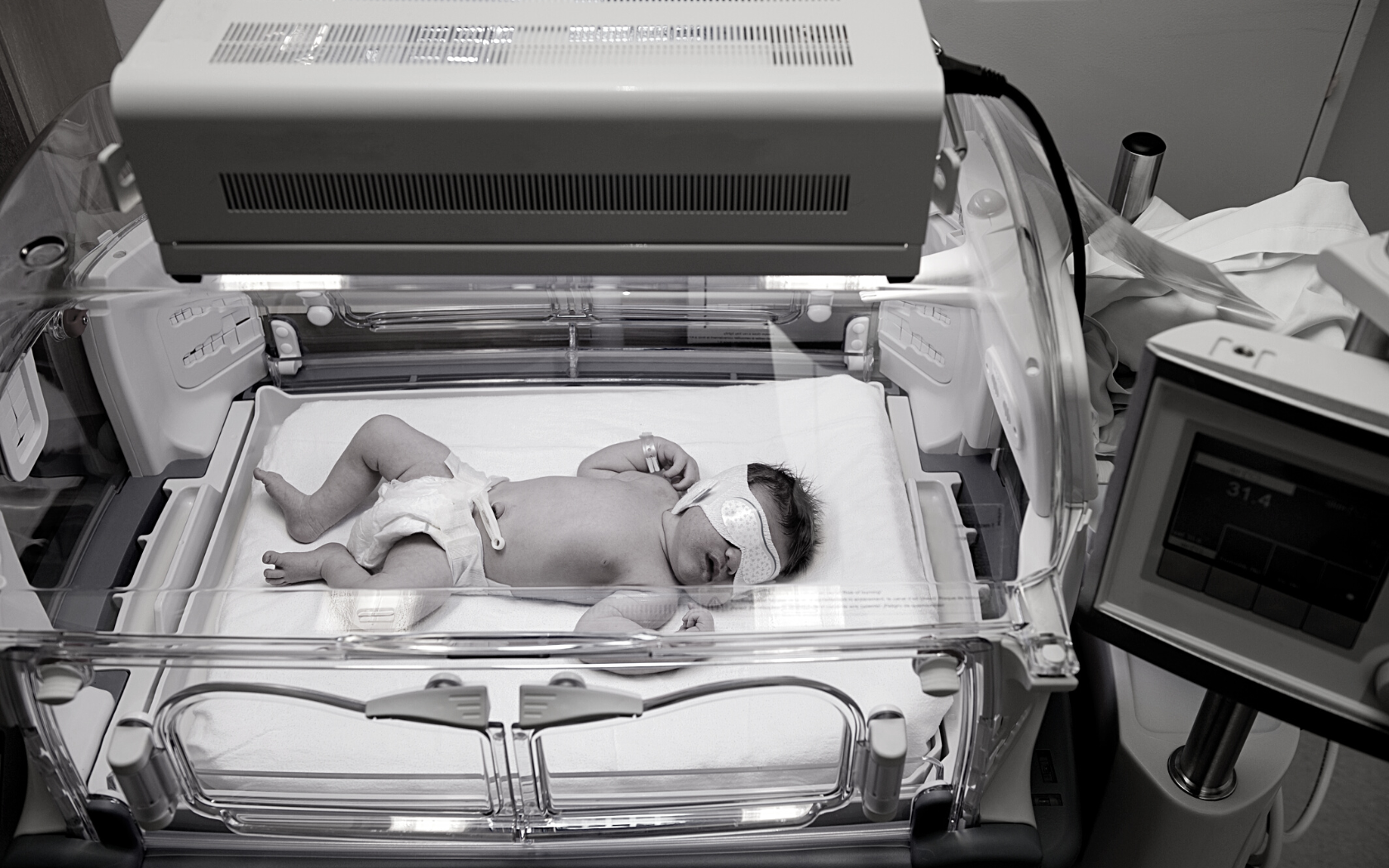 Brain Damage From Jaundice Hampton & King