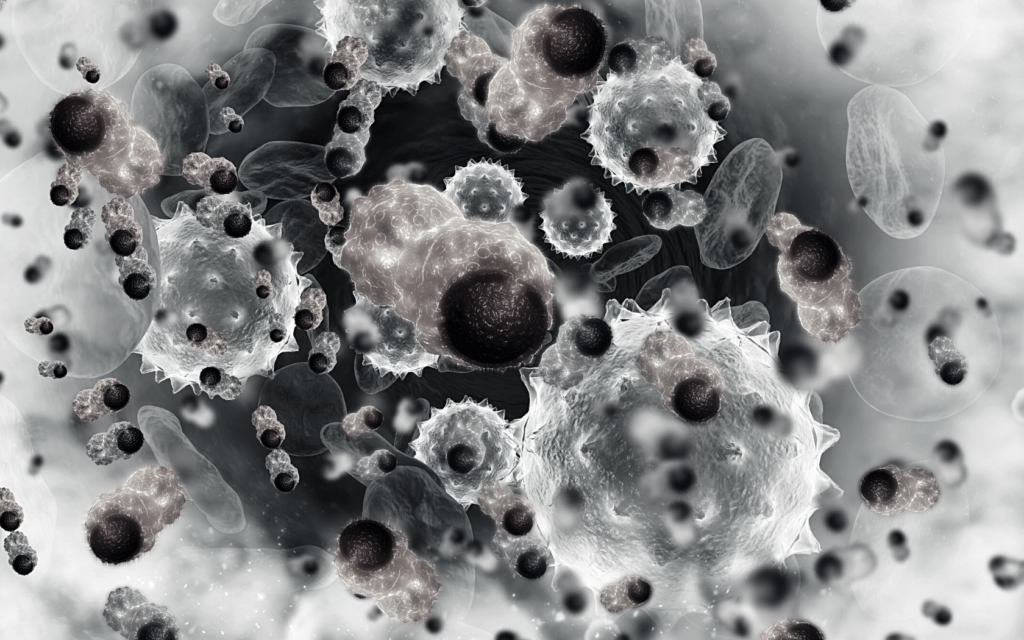 What cancer cells may look like.