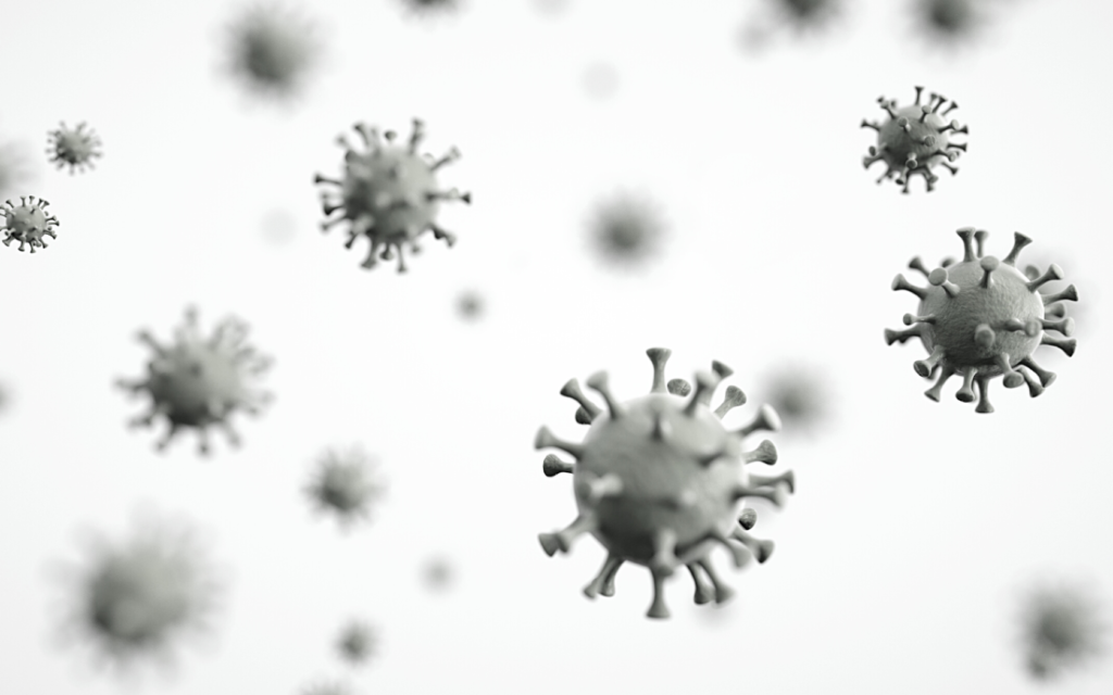 Photo of viruses under a microscope.

