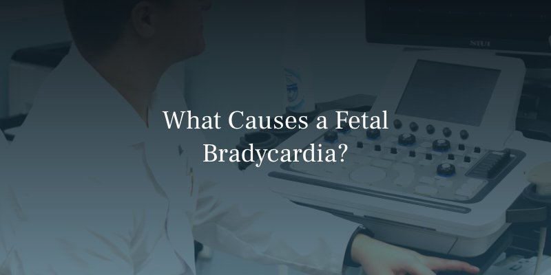 What Causes a Fetal Bradycardia?