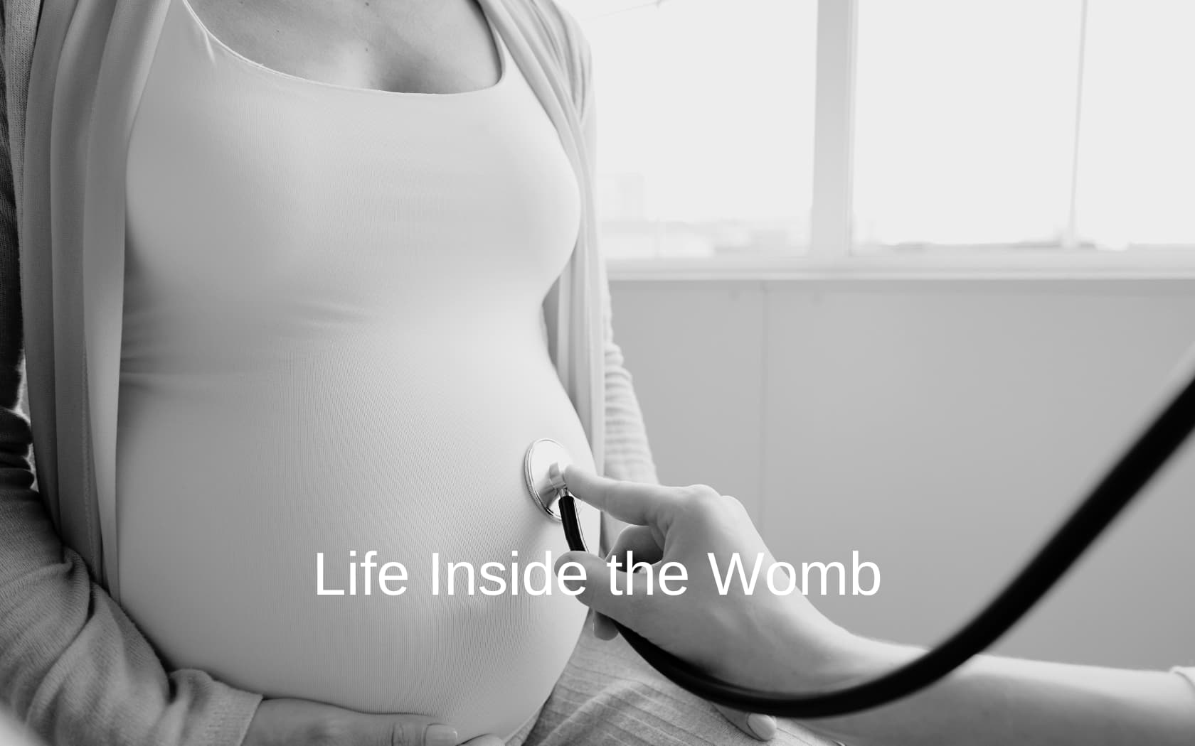Life-Inside-the-Womb